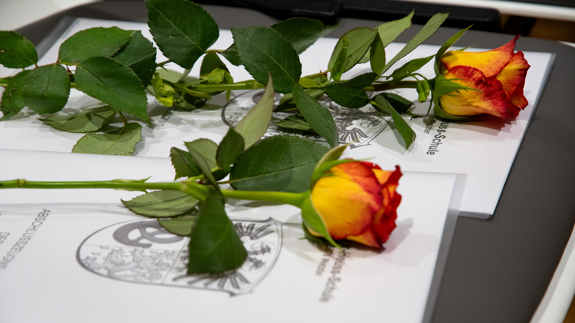 Die Abschlusszeugnisse mit den Rose, bereit für die Übergabe