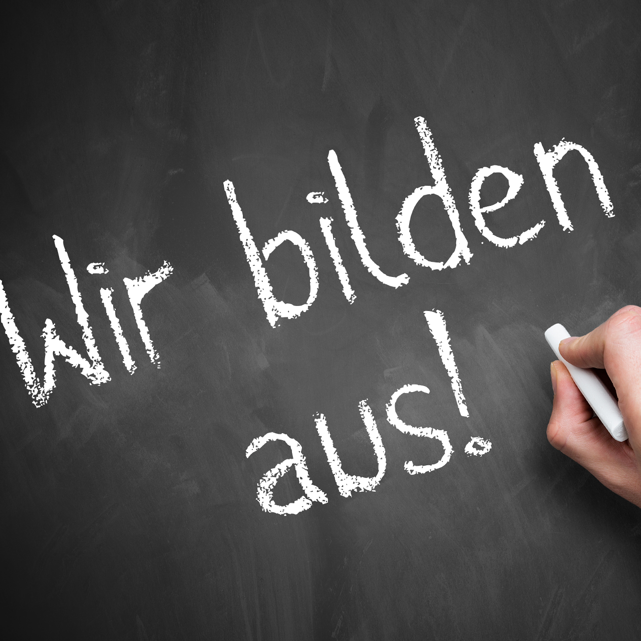 Ausbildung - offene Stellen